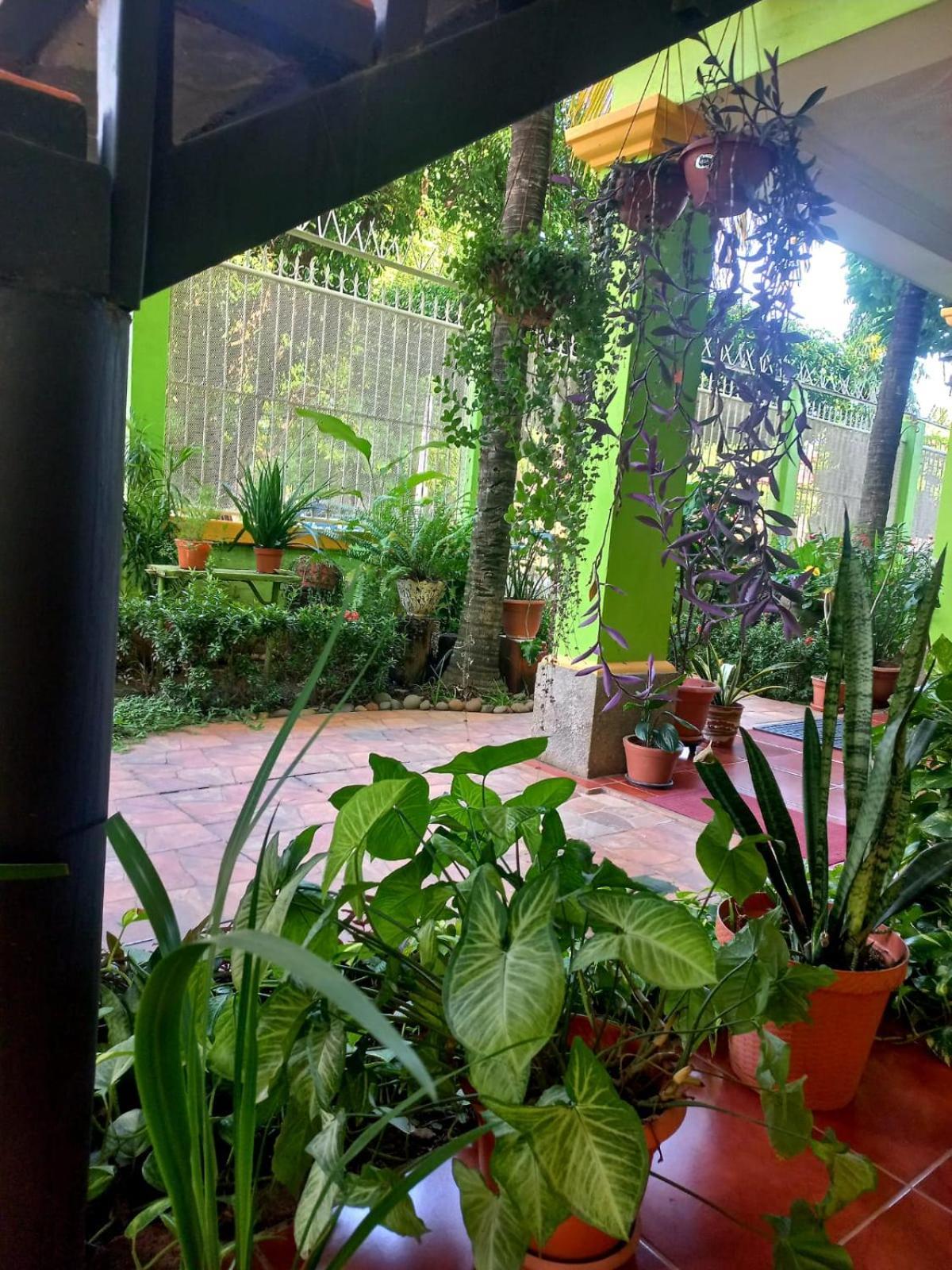 Hostal San Antonio León Buitenkant foto